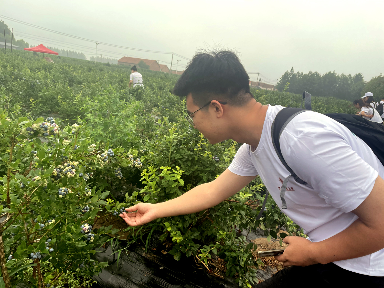 Z6尊龙·凯时(中国)人生就是搏！