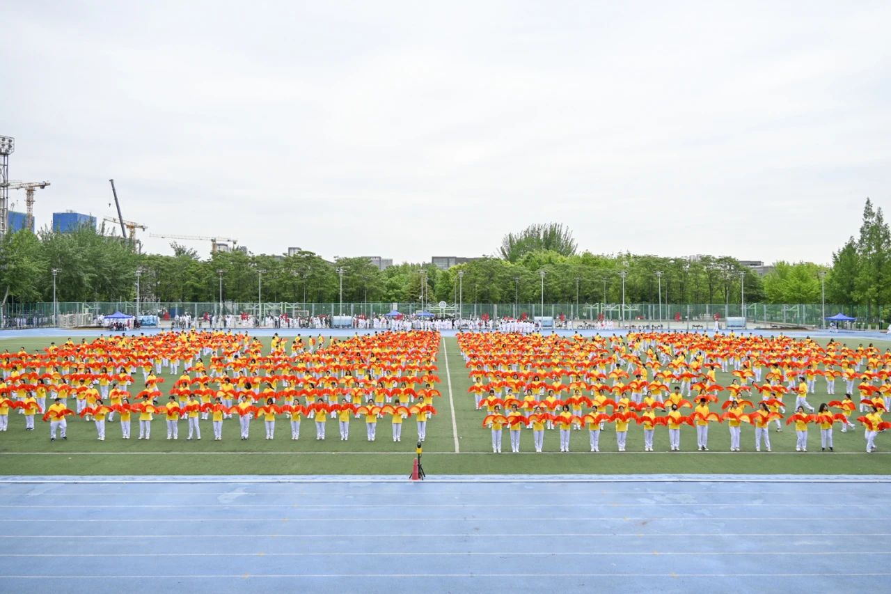 Z6尊龙·凯时(中国)人生就是搏！