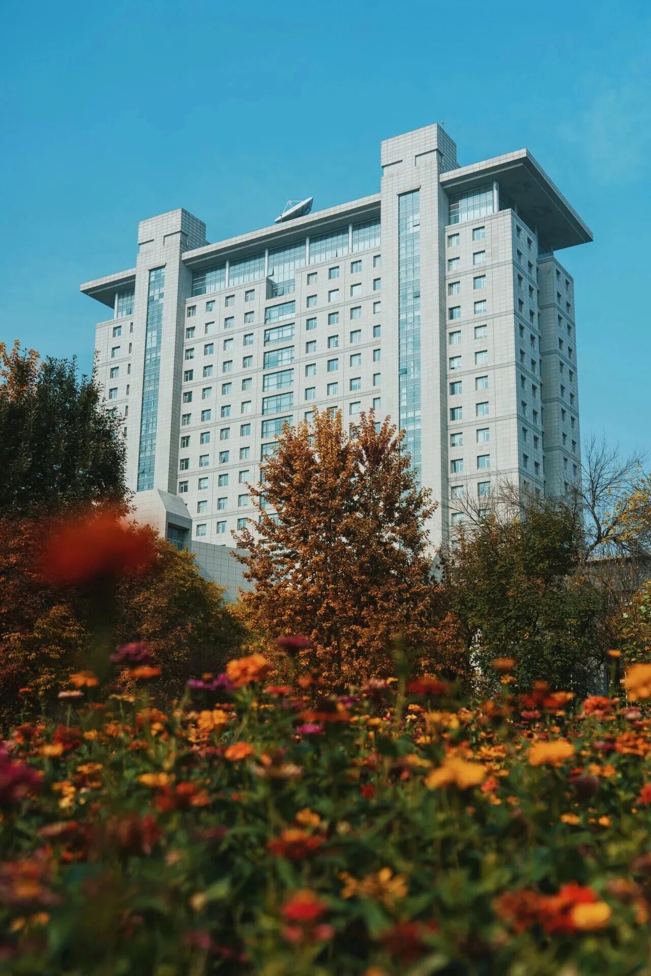 Z6尊龙·凯时(中国)人生就是搏！