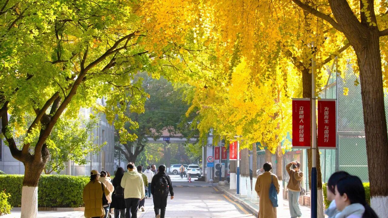 Z6尊龙·凯时(中国)人生就是搏！