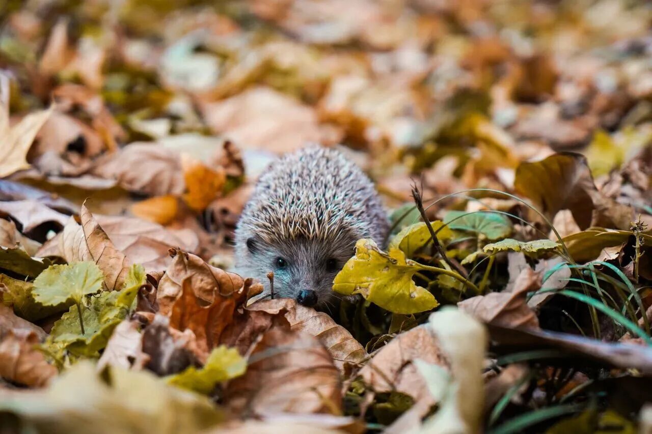 Z6尊龙·凯时(中国)人生就是搏！