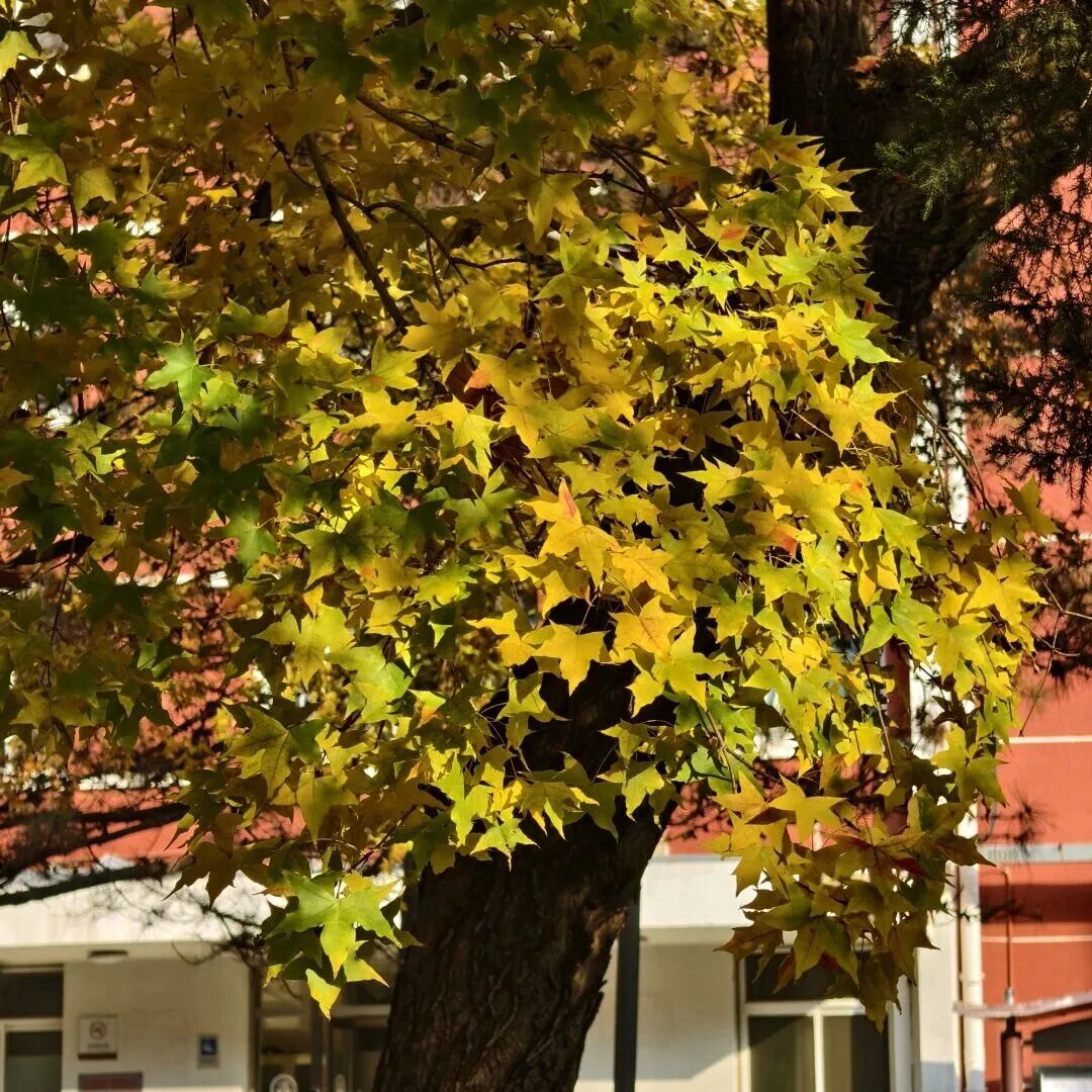 Z6尊龙·凯时(中国)人生就是搏！