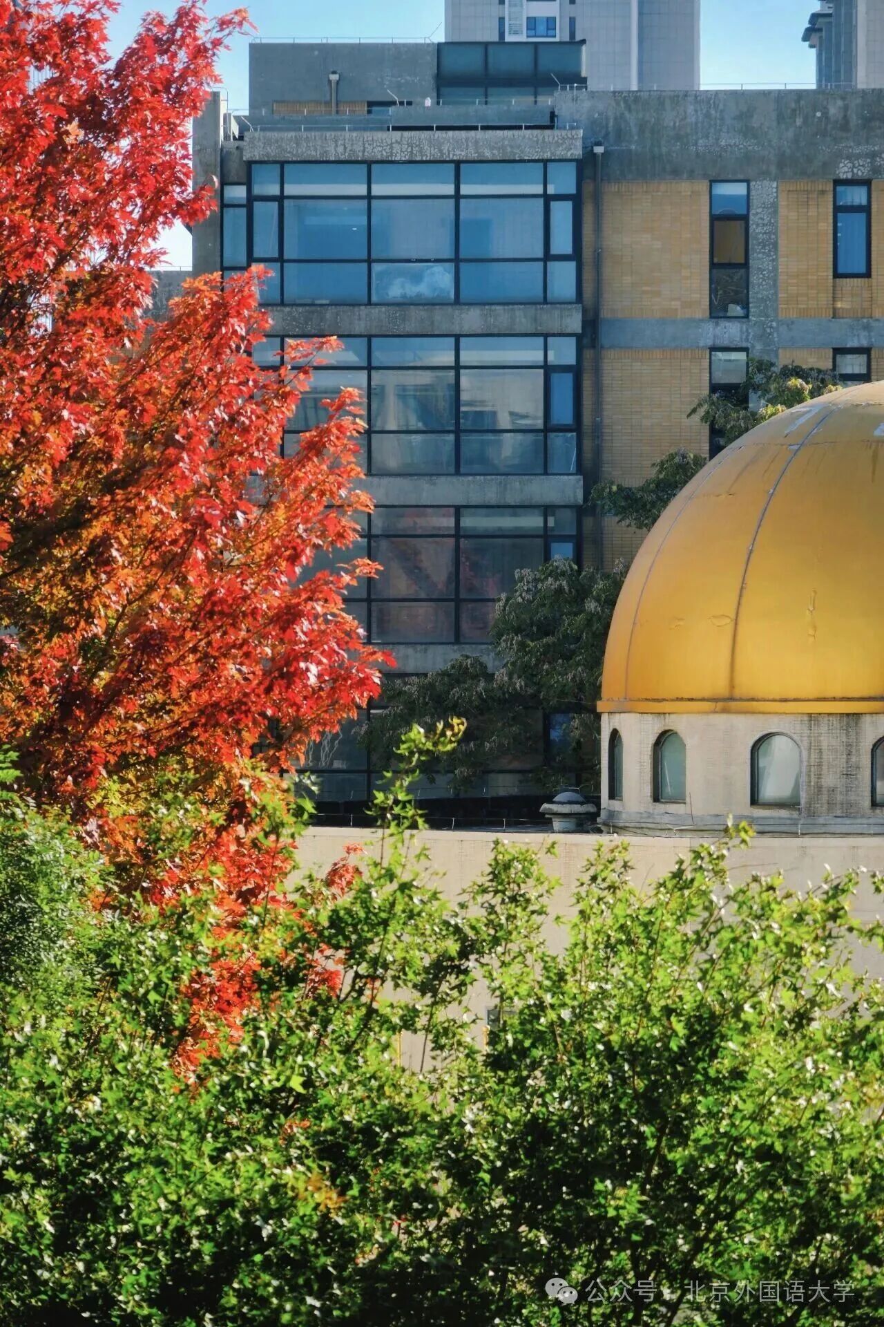 Z6尊龙·凯时(中国)人生就是搏！