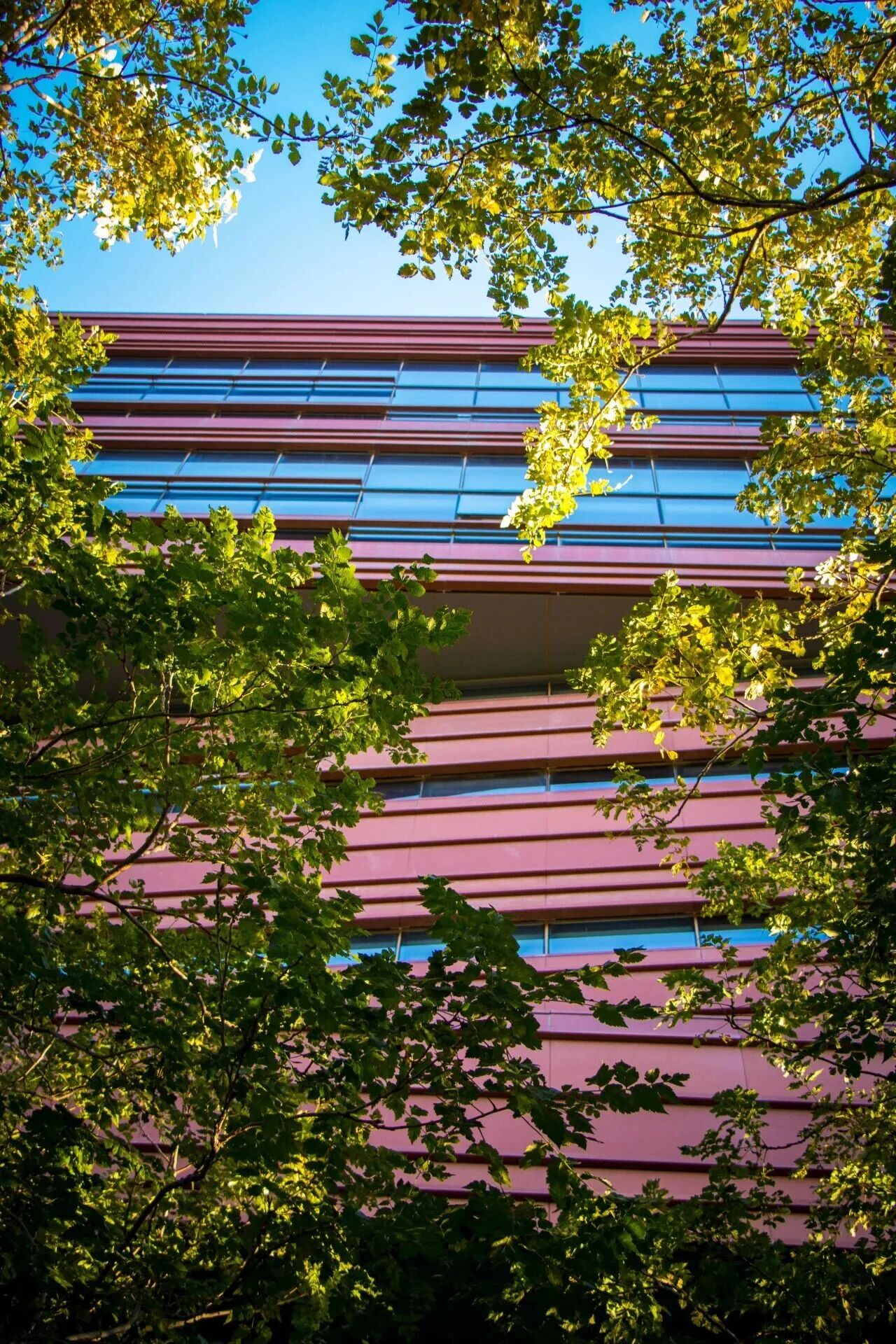 Z6尊龙·凯时(中国)人生就是搏！