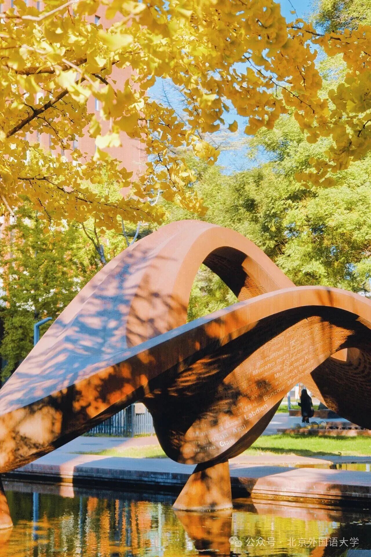 Z6尊龙·凯时(中国)人生就是搏！