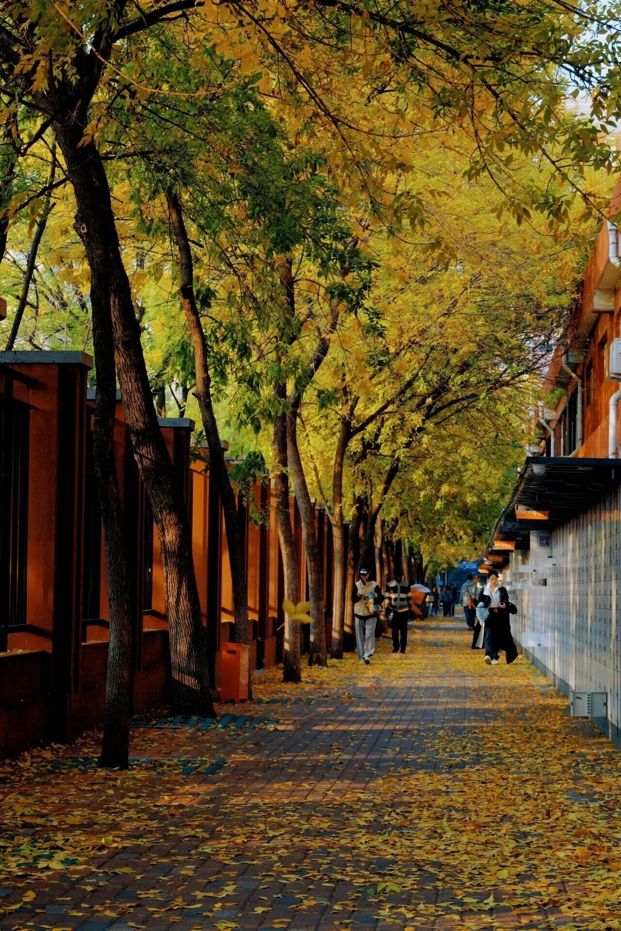 Z6尊龙·凯时(中国)人生就是搏！