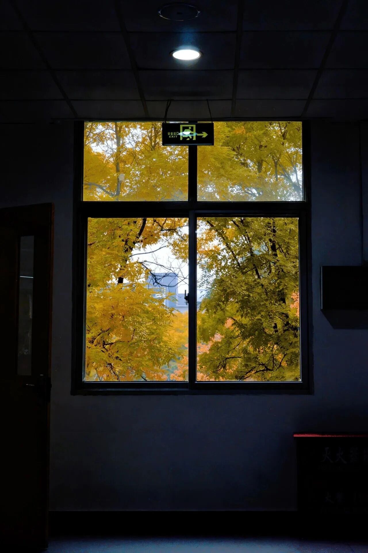 Z6尊龙·凯时(中国)人生就是搏！