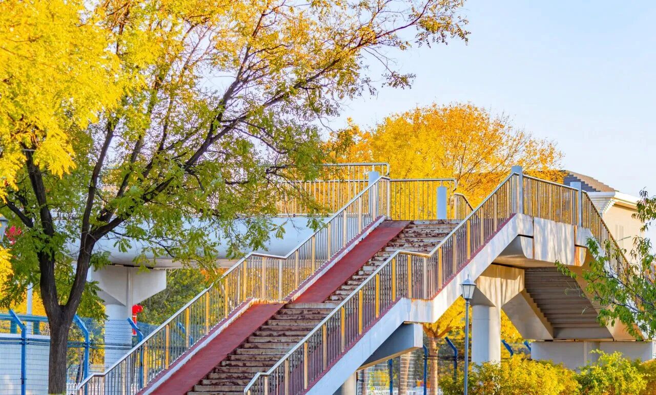 Z6尊龙·凯时(中国)人生就是搏！