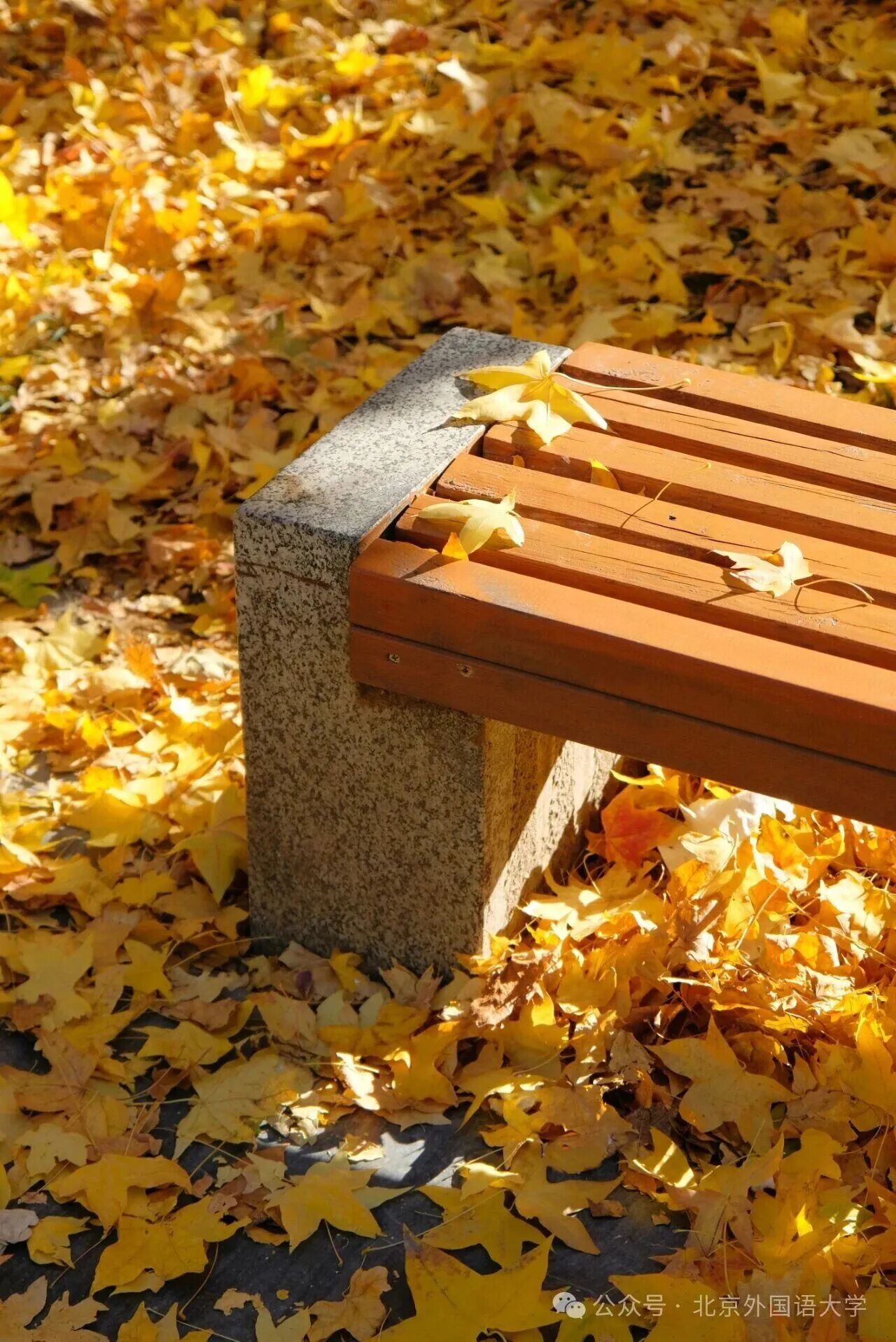 Z6尊龙·凯时(中国)人生就是搏！