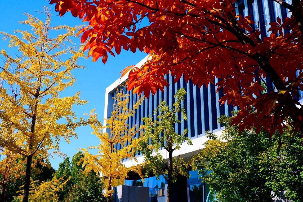 Z6尊龙·凯时(中国)人生就是搏！