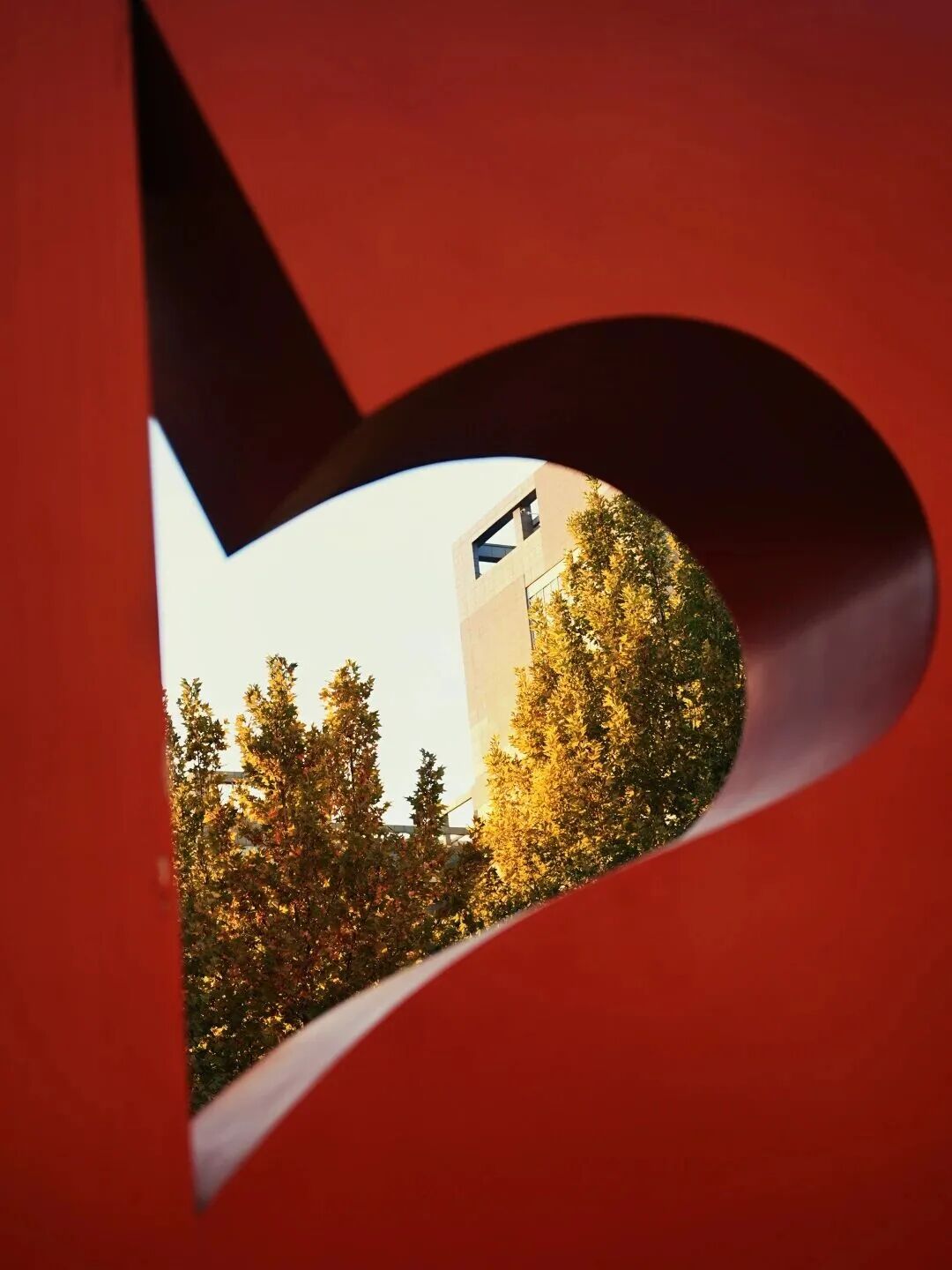 Z6尊龙·凯时(中国)人生就是搏！