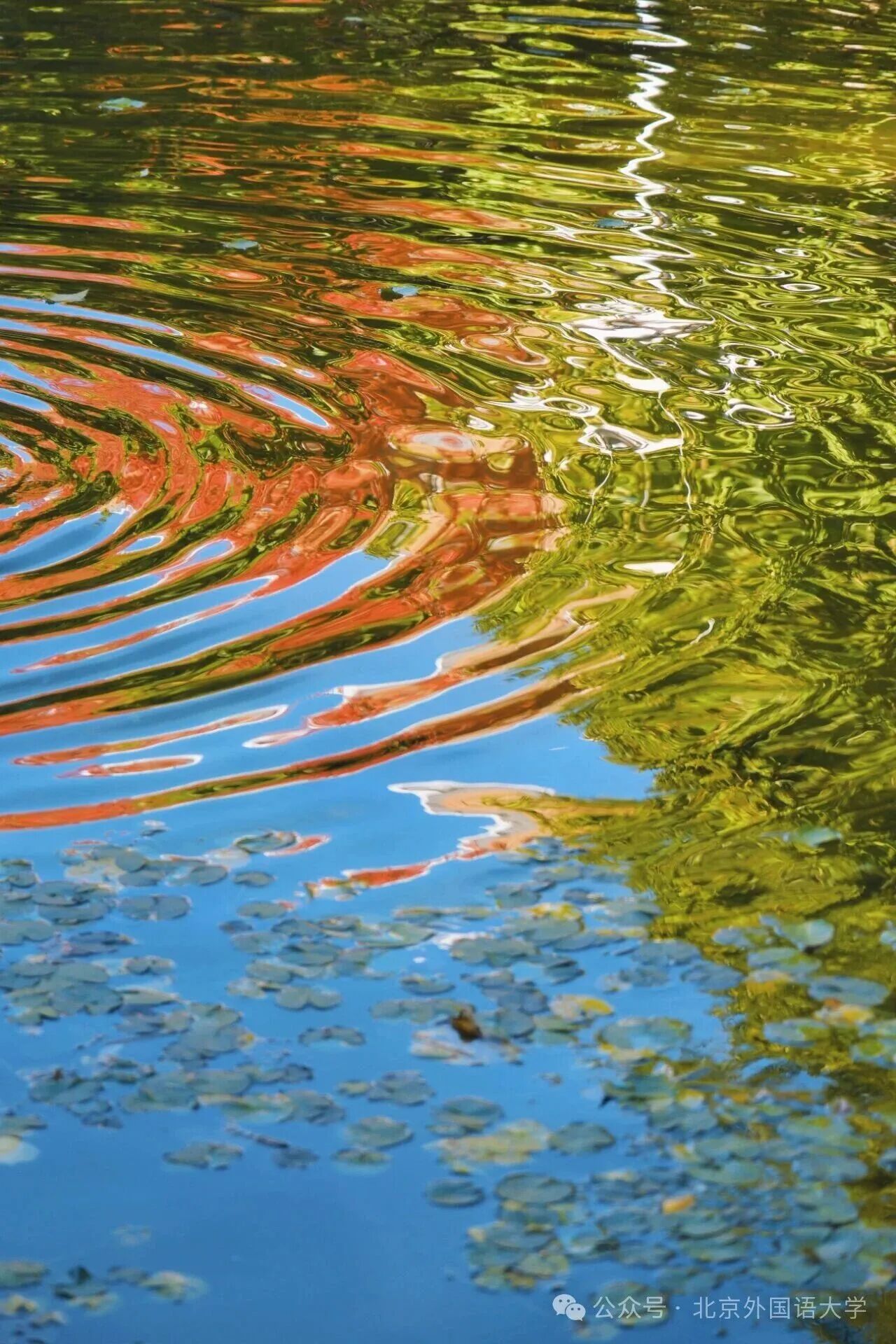 Z6尊龙·凯时(中国)人生就是搏！