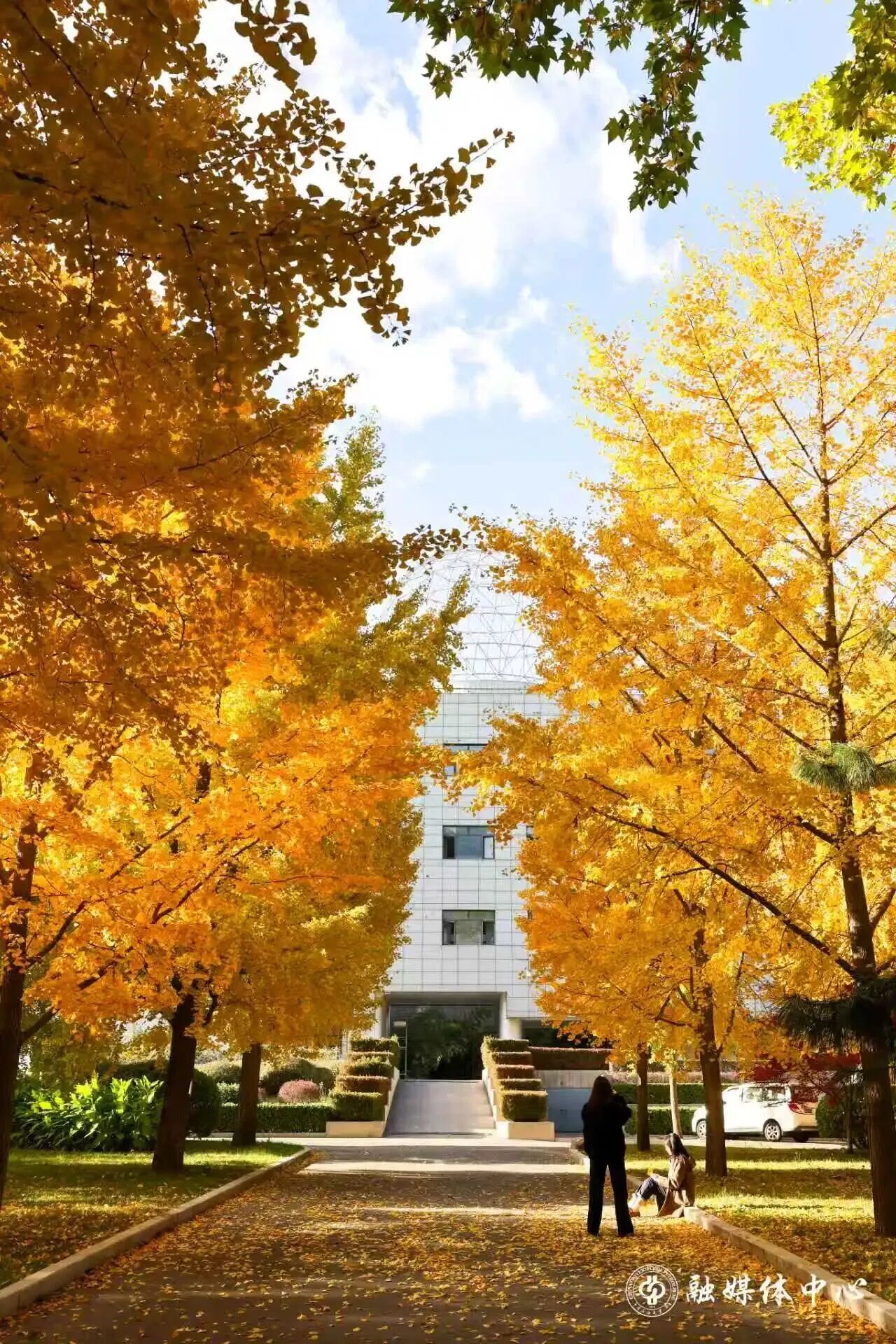 Z6尊龙·凯时(中国)人生就是搏！