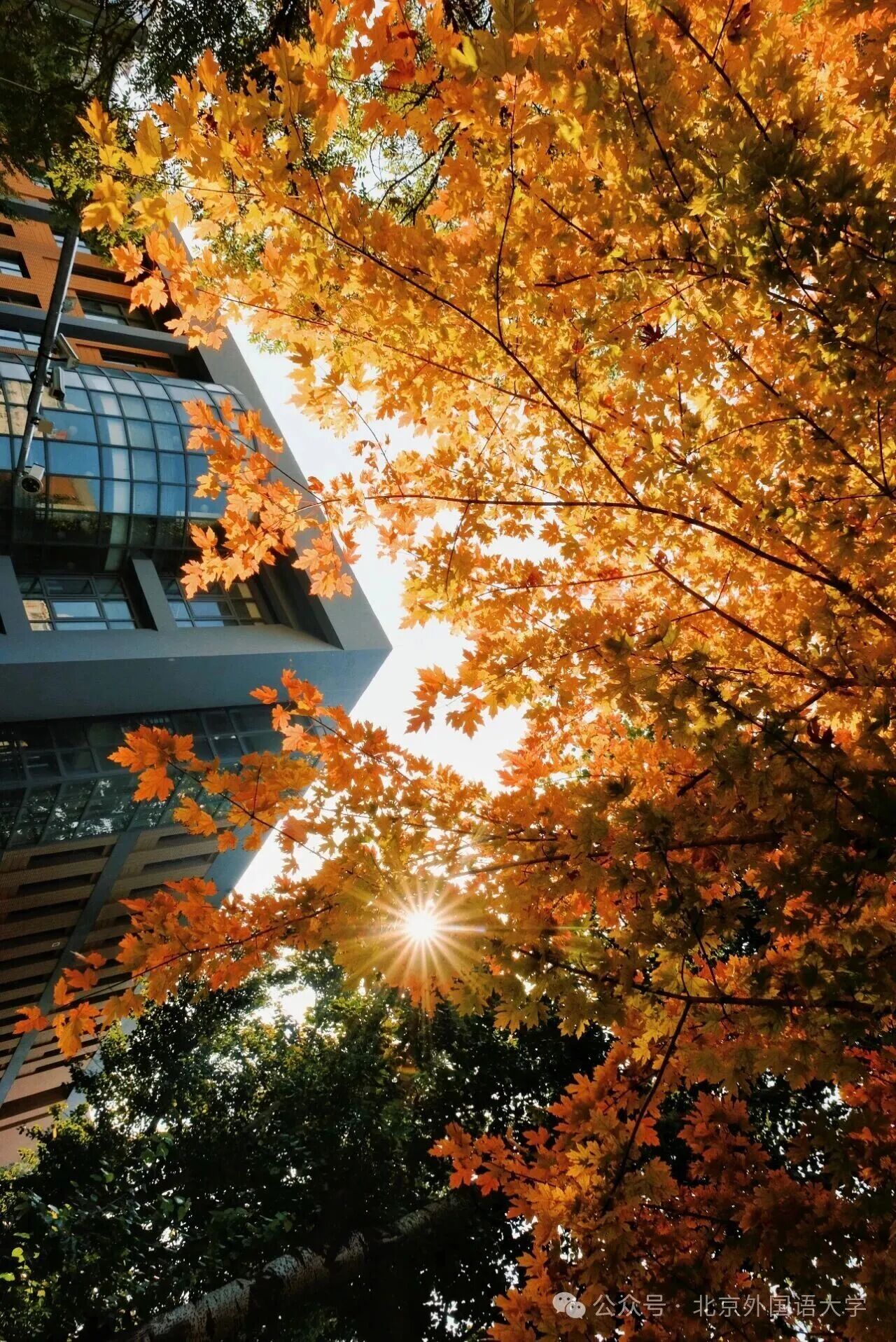 Z6尊龙·凯时(中国)人生就是搏！