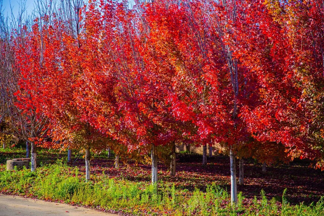 Z6尊龙·凯时(中国)人生就是搏！