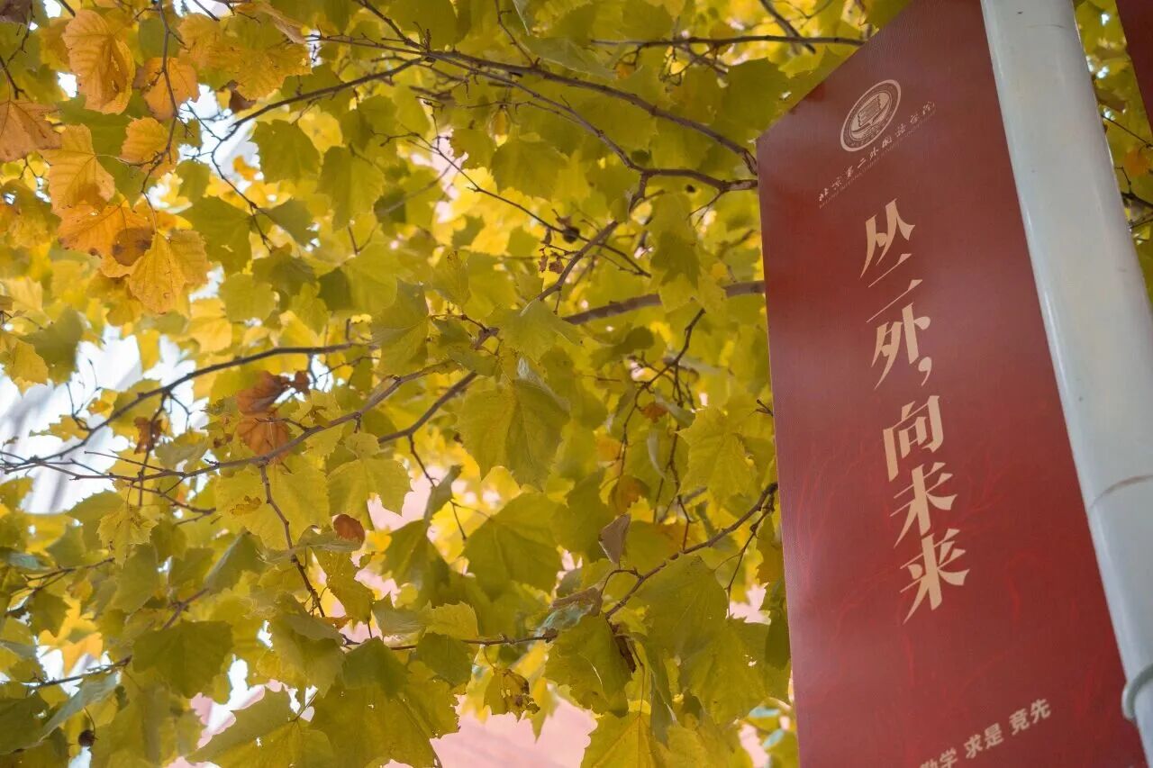 Z6尊龙·凯时(中国)人生就是搏！