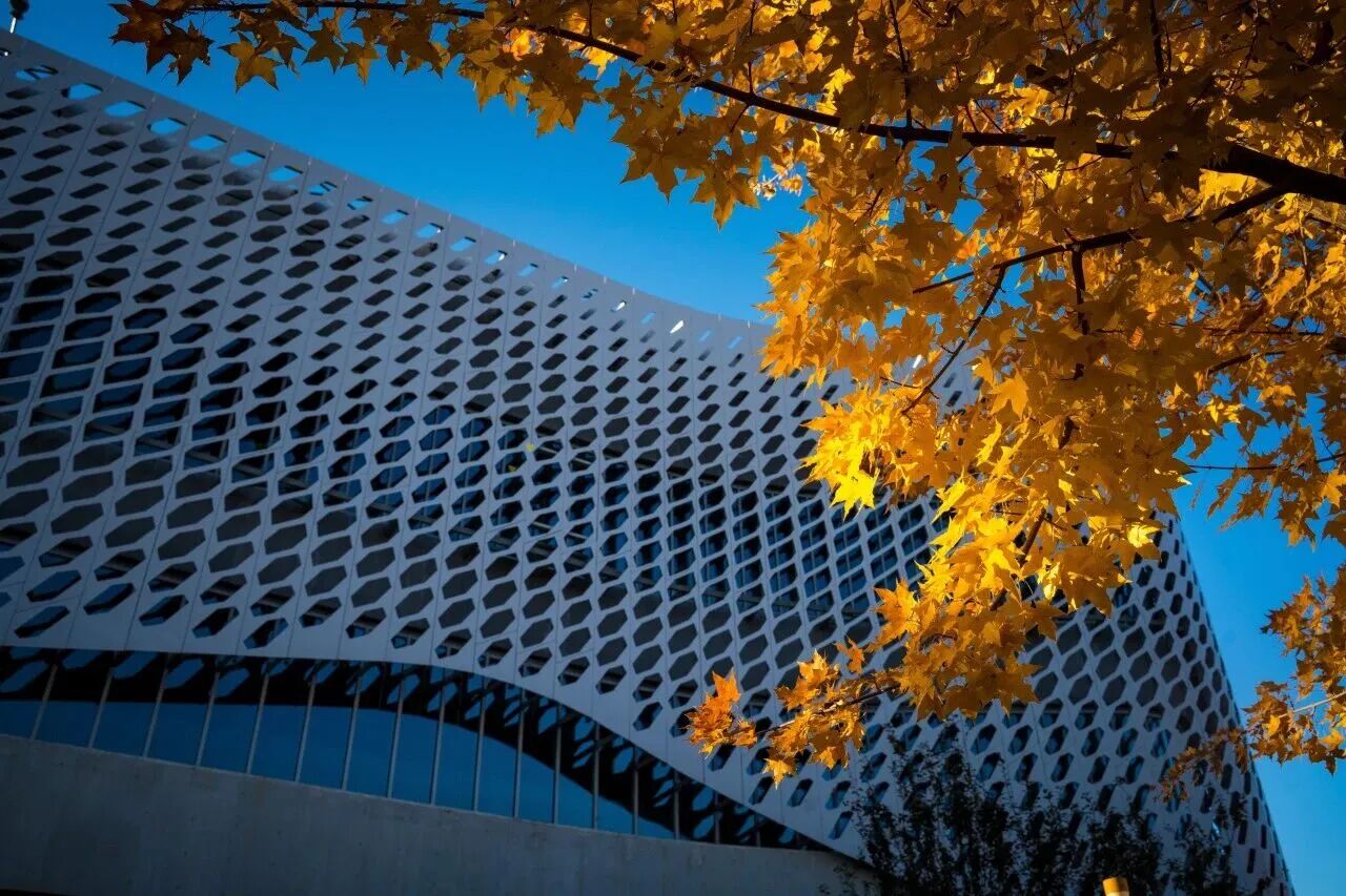 Z6尊龙·凯时(中国)人生就是搏！