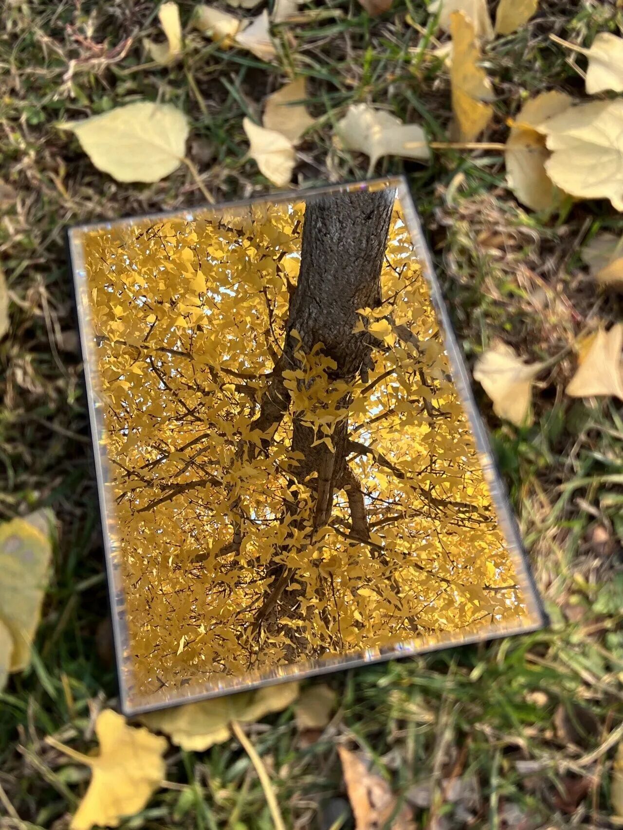 Z6尊龙·凯时(中国)人生就是搏！