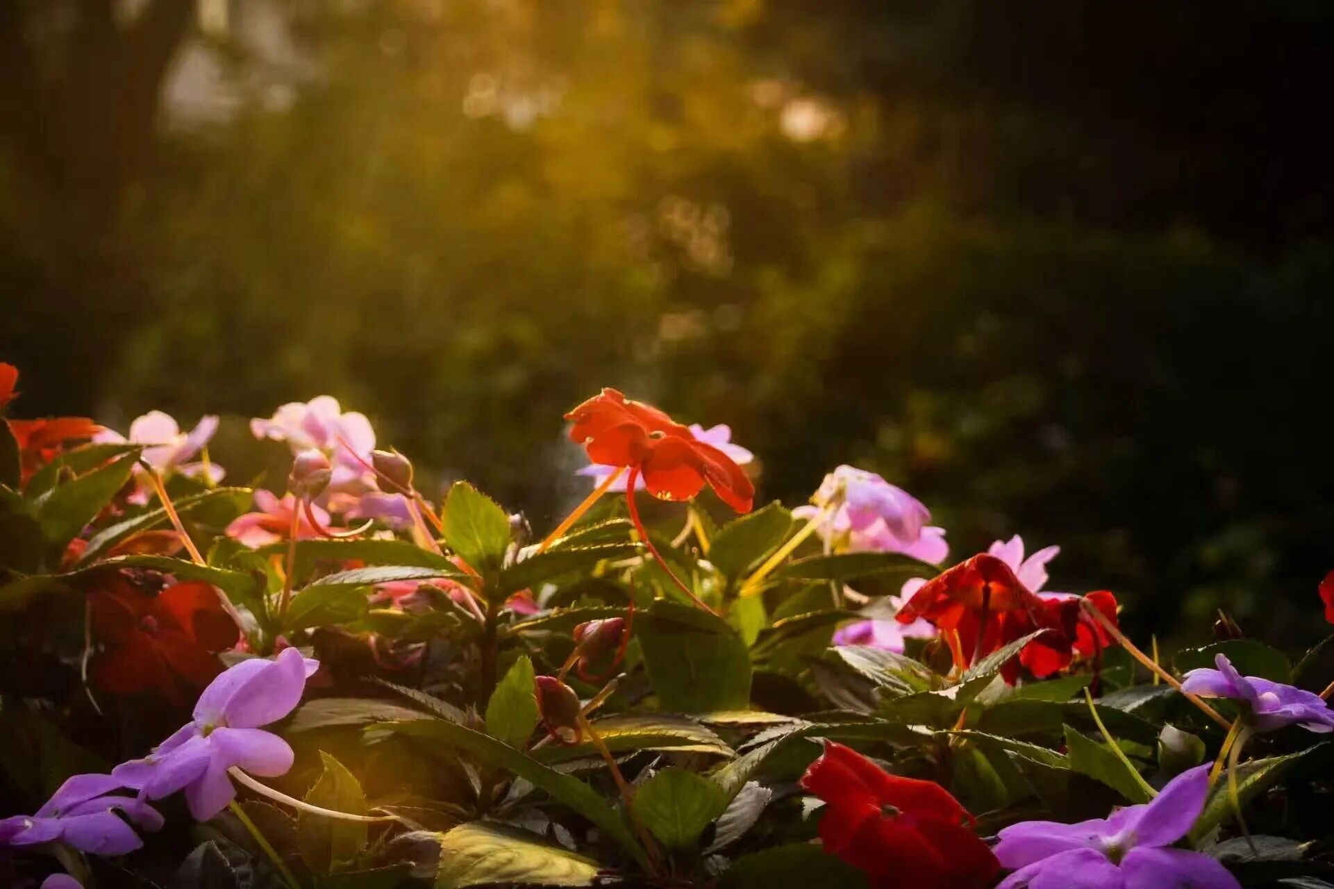 Z6尊龙·凯时(中国)人生就是搏！