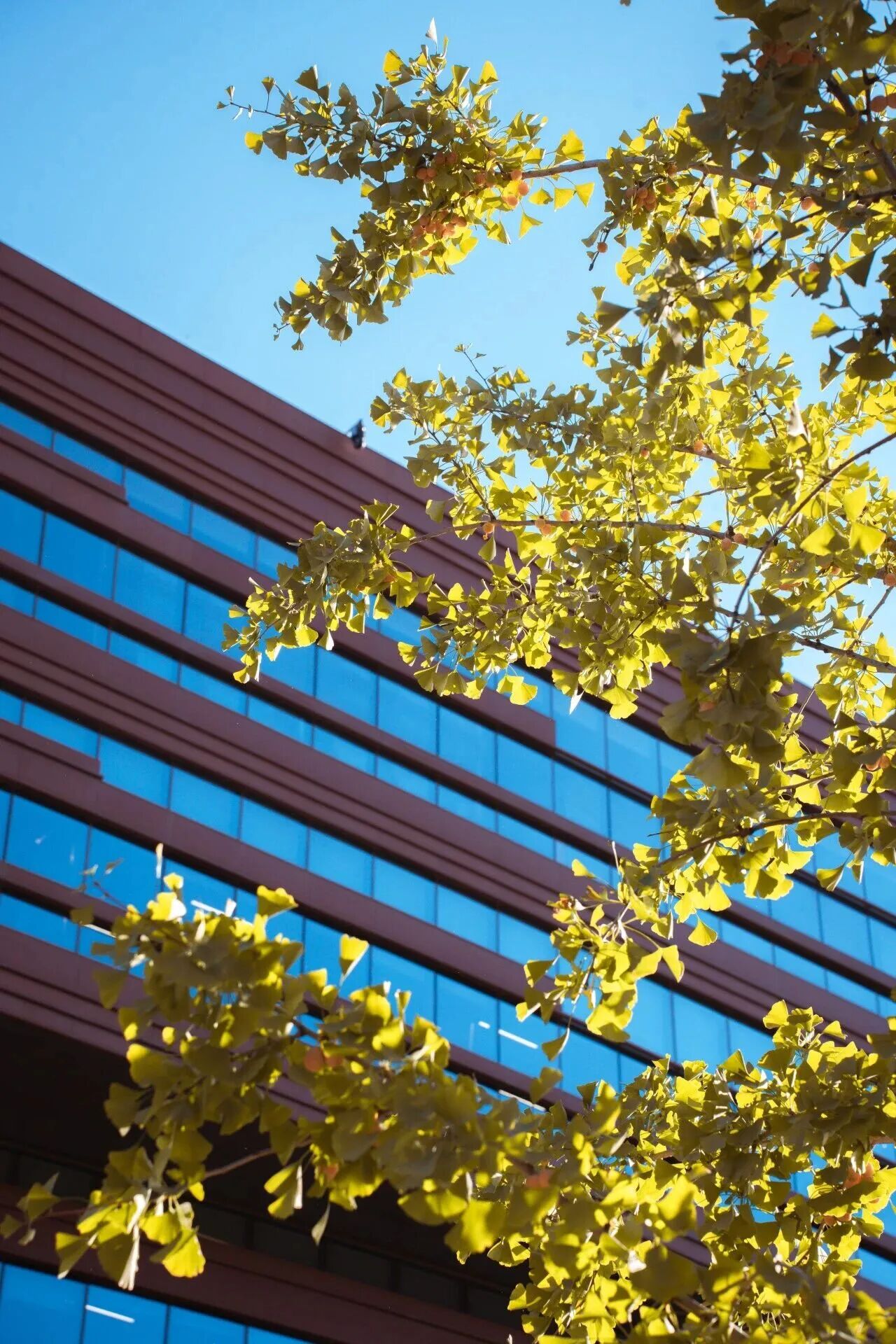 Z6尊龙·凯时(中国)人生就是搏！