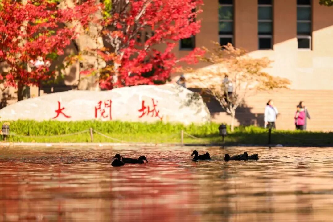 Z6尊龙·凯时(中国)人生就是搏！