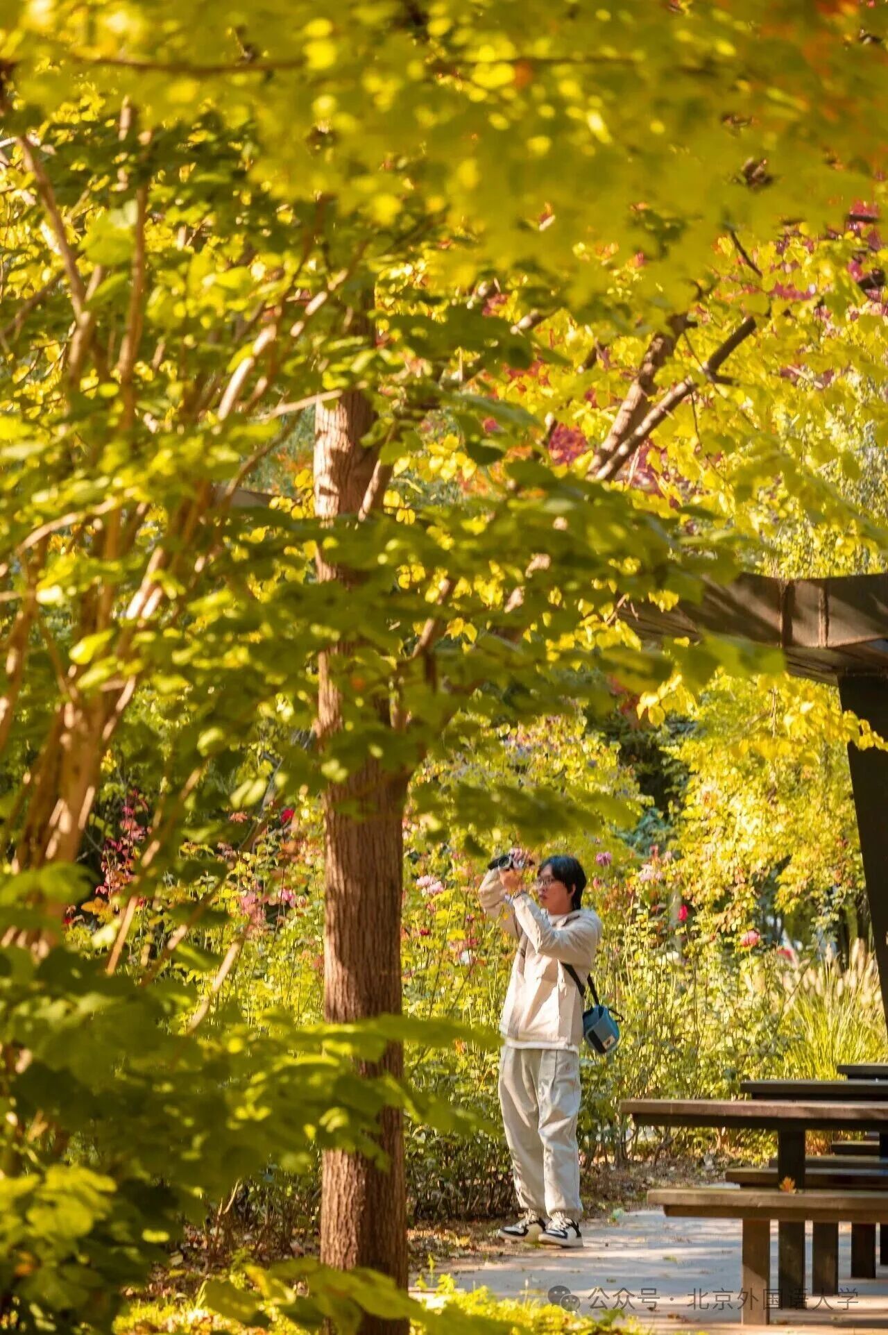 Z6尊龙·凯时(中国)人生就是搏！