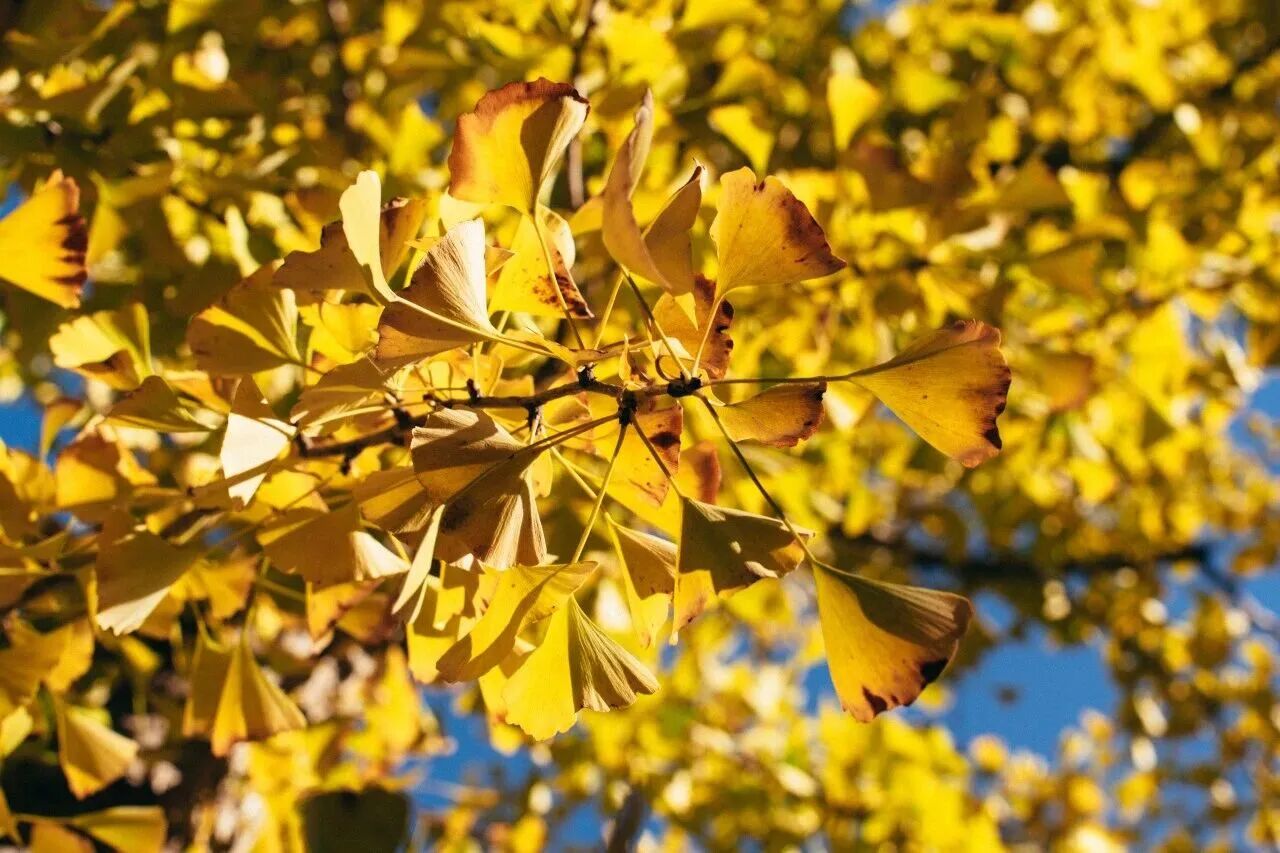 Z6尊龙·凯时(中国)人生就是搏！