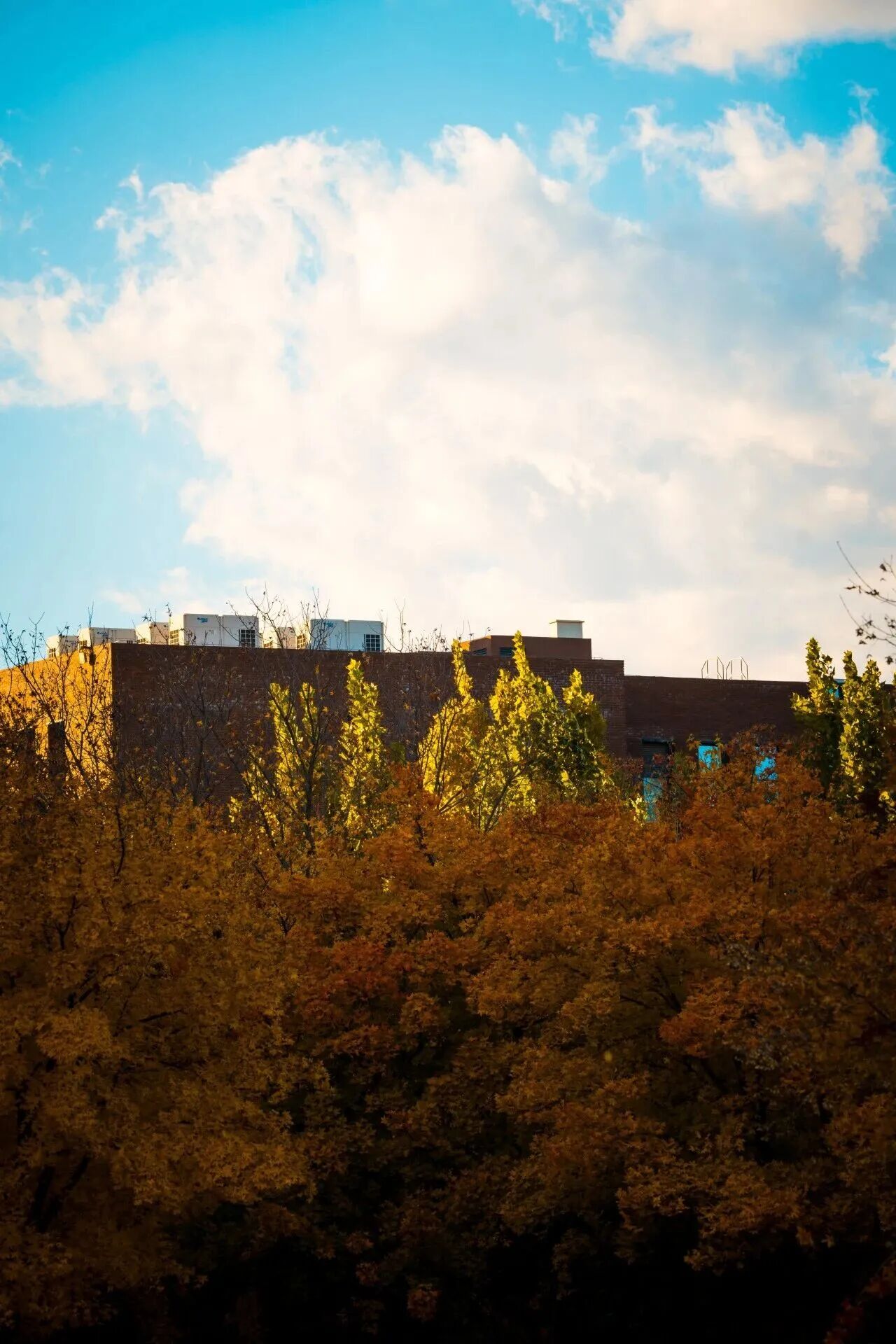 Z6尊龙·凯时(中国)人生就是搏！