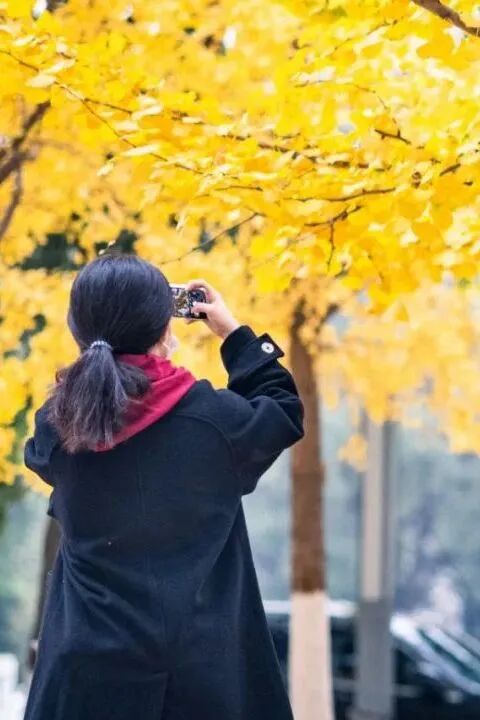 Z6尊龙·凯时(中国)人生就是搏！