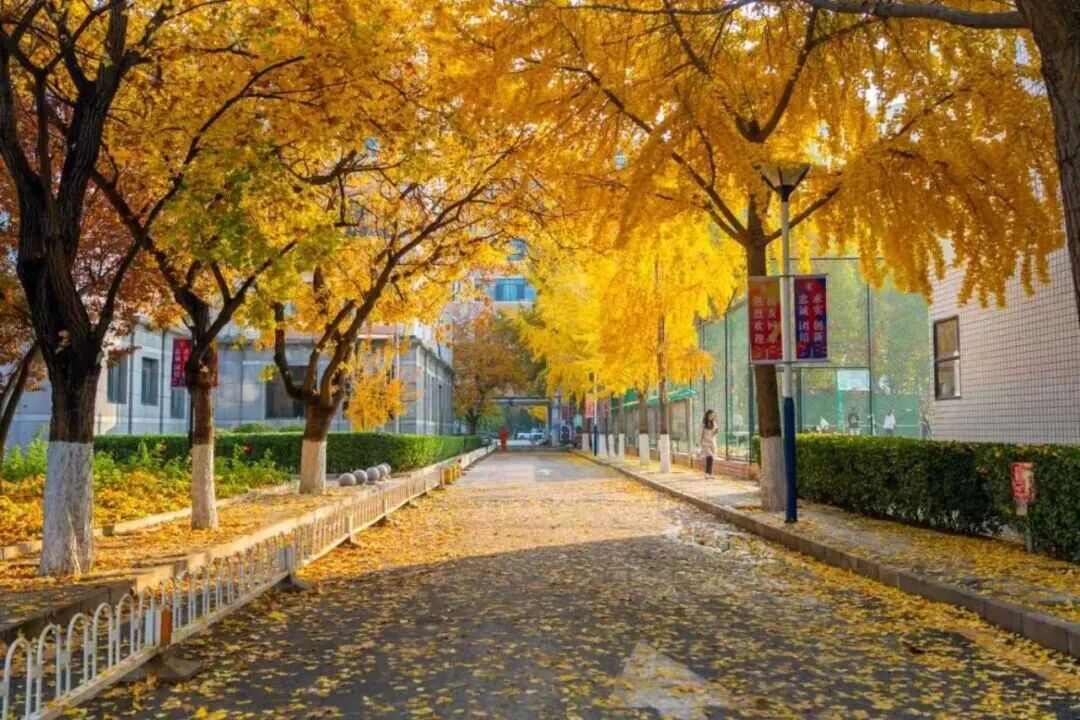 Z6尊龙·凯时(中国)人生就是搏！