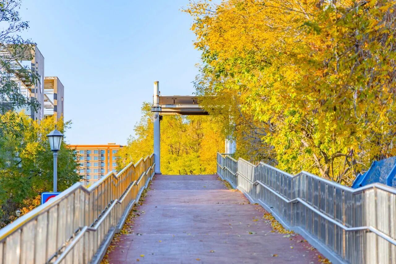 Z6尊龙·凯时(中国)人生就是搏！