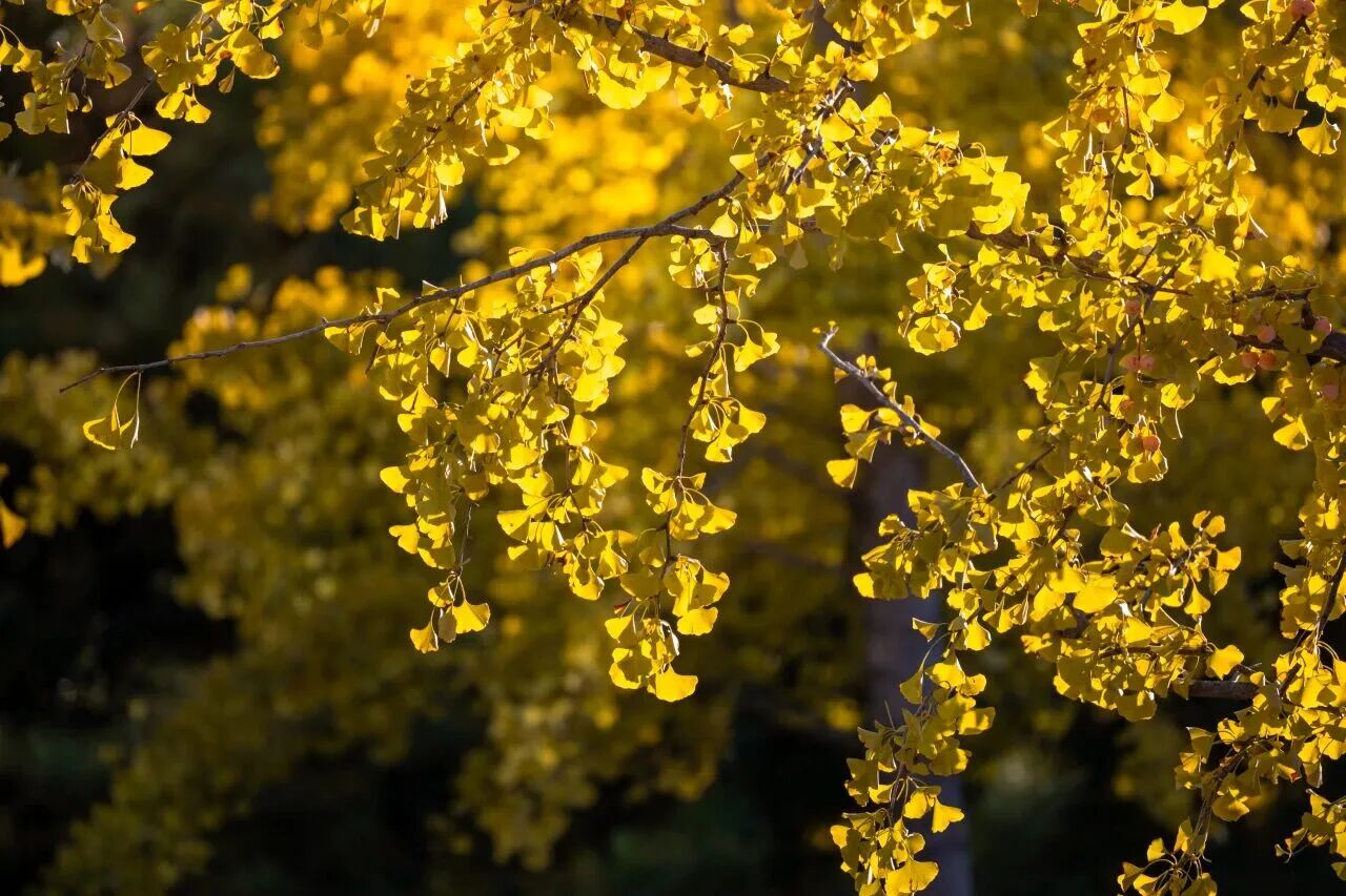 Z6尊龙·凯时(中国)人生就是搏！