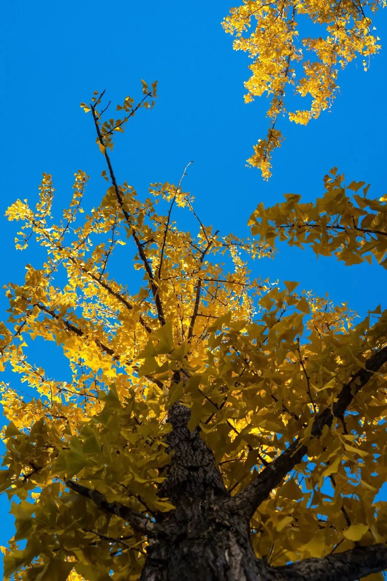 Z6尊龙·凯时(中国)人生就是搏！