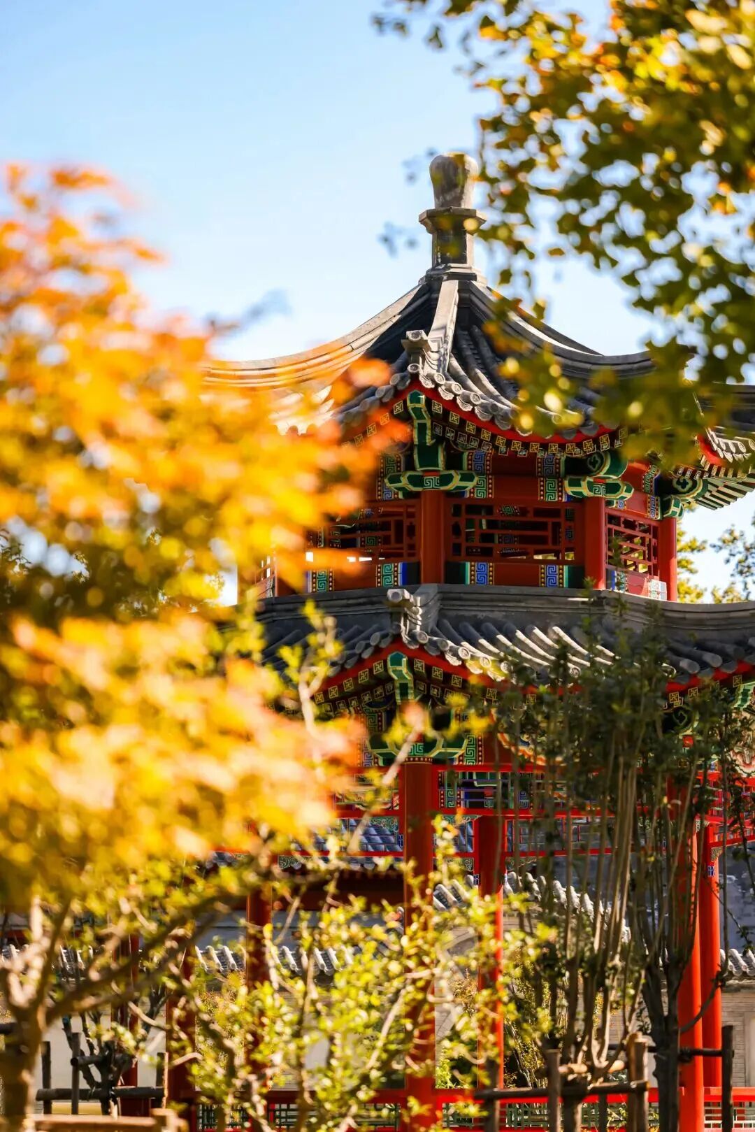 Z6尊龙·凯时(中国)人生就是搏！