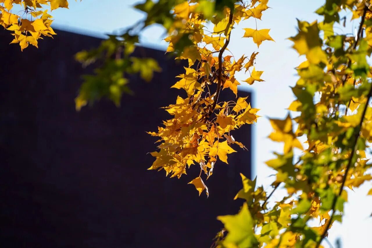 Z6尊龙·凯时(中国)人生就是搏！